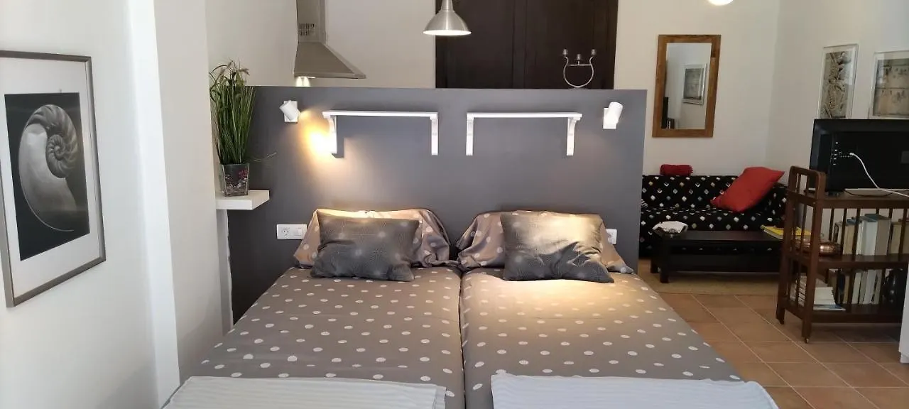 Casa De Isora Private Apartments 加拉奇科
